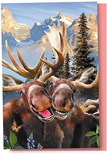 Tree-Free Greetings EcoNotes 12 Count Notecard Set, Two Moose Selfie All Occasion with Envelopes