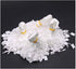 7" 1000 Pcs Hang Tag Nylon White String Snap Lock Pin Loop Fastener Hook Ties with Push Locker