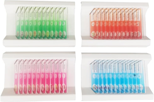 48pcs Kids Plastic Prepared Microscope Slides of Animals, Insects, Plants, Flowers Sample Specimens for Microscopes