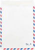 JAM PAPER Tyvek Tear-Proof Open End Catalog Envelopes - 9 x 12 - White Airmail, 50/Pack