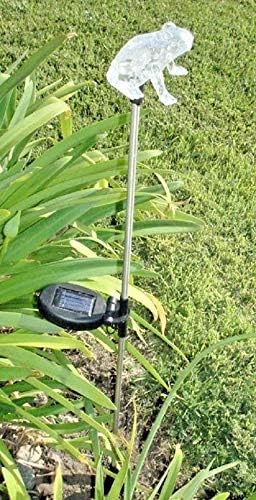 Solar Powered Garden Stake LED Light, Set of 2 (Frog) by RELIGHTABLE