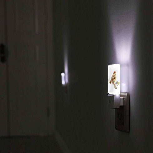 Chrobak LED Night Light Plug into Wall with Dusk to Dawn Light Sensor White Energy Efficient Baby Sparrow Bird