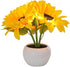 Naimo Sunflower Night Light Rechargeable LED Night Lamp Flower Table Lamp for Bedroom Living Room Birthday Party