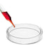 60mm Glass Petri Dishes with Lids, High Borosilicate Glass Tissue Culture Plate, 5 Pcs