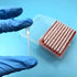 200µL Filtering Pipette Tips - Universal Filter Tips, RNase/DNase Free, Clear, 960 Tips/Rack