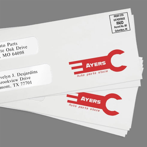 LUXPaper #10 Business Double Window Envelopes, Security Tint, 4 1/8" x 9 1/2", White, 250 Qty