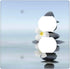 ELTIVNOS Spa Theme,Outlet Covers 2 Gang Wall Plates,Massage Stones with Flower on The
