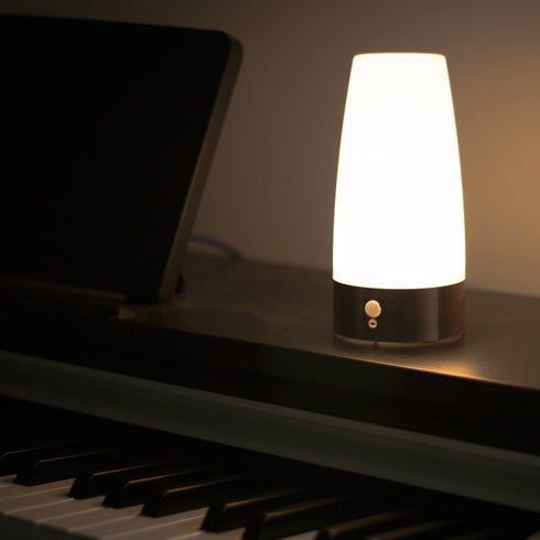 ZEEFO Retro LED Night Light with PIR Motion Sensor, Battery Operated Indoor/Outdoor Table Lamp for Kids Room