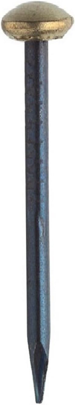 100 Pack Brass Capped Nail 1 Inch