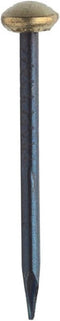 100 Pack Brass Capped Nail 1 Inch