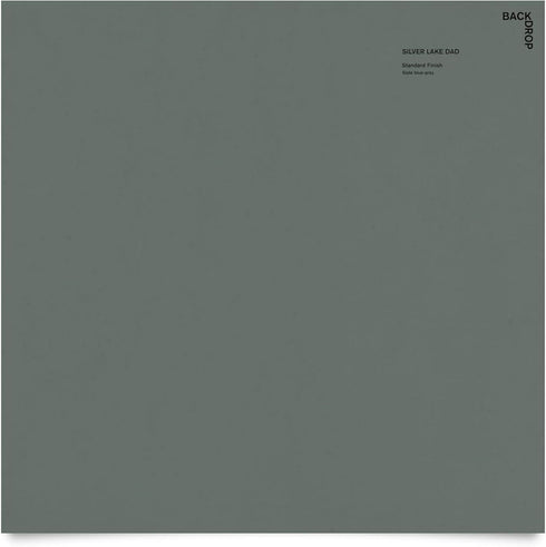 BACKDROP | Premium Interior Paint | Large Adhesive Paint Swatch | SILVER LAKE DAD - Slate Blue Gray | 12" x 12" Color