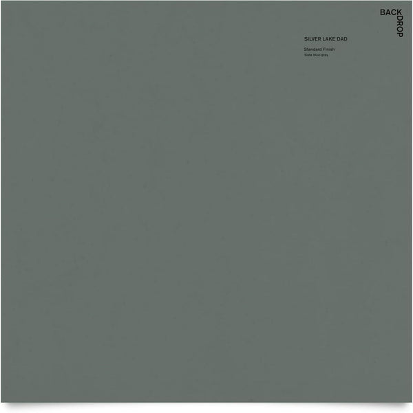 BACKDROP | Premium Interior Paint | Large Adhesive Paint Swatch | SILVER LAKE DAD - Slate Blue Gray | 12" x 12" Color