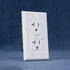15/20 Amp GFCI Outlet, Tamper-Resistant, Single LED with Two Colors Indicator, Self-Test Ground Fault Circuit Interrupter, Decorator Wall Plates and Screws Included, UL/cUL Listed (GT20 White)