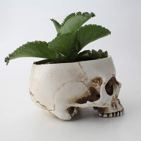 Mikayoo Skull Pen Holder - Skull Makeup Brush Holder and Storage Box for Office Desk, Green Plant Flower Pot