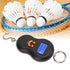 Portable Electronic Tension Calibrator, ABS LCD Digital Display Shakeproof Tool for Tennis Badminton