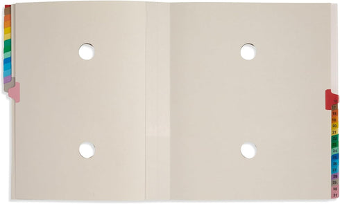 Blue Summit Expanding Desk File - Letter Size, 31 Dividers for Daily Organization, 25PT Blue Pressboard