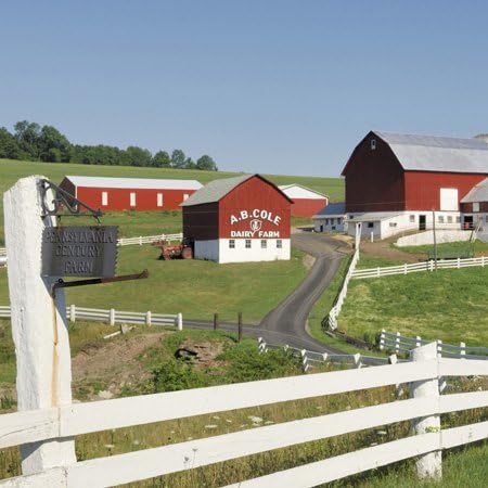 3dRose US39 KRS0000 6 Inch A.B.Cole Dairy Farm, Century Farm - - Keith and Rebecca Snell Ceramic Tile
