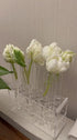 Othmro 2Pcs 40mm Clear Test Tube Racks - 6 Positions for Laboratory and Party Favors