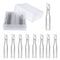Vial Insert, 6x29mm Clear Glass with Polyspring, Volume 250ul, Pack of 100
