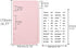 Pink Cash Envelopes A6 Binder Pockets Dividers 6 Tabs PP A6 Binder Inserts with Label Stickers Cash Envelope for Budgeting A6 6-Ring Budget Binder Office Supplies Accessories(Pink) by XiowDow