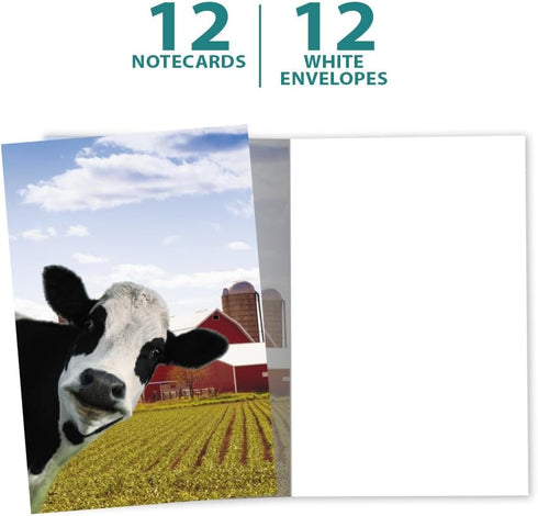 Tree-Free Greetings EcoNotes 12 Count Cow Photobomb All Occasion Notecard Set with Envelopes