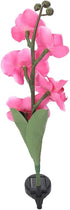 Yosoo Garden Solar Lights, Waterproof Moth Orchid Shape Light-Activated LED Pathway Light