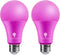 2 Pack BlueX LED A21 Pink Light Bulbs, 15W (120Watt Equivalent), E26 Base, Party Decoration, Holiday Lighting
