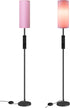 2 Pack Dimmable 2 64.4'' 10W 900LM Bulb 3000K-6500K, P06LDP205W1 Pink Floor Lamps for Living Room with Remotes and Foot
