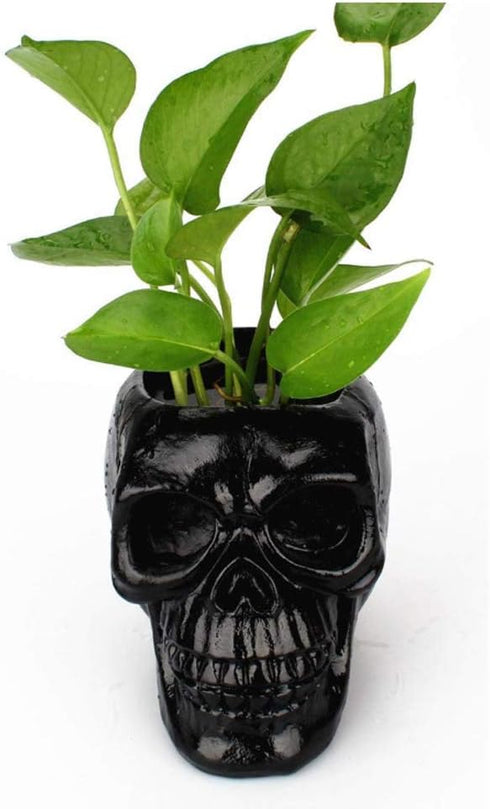 Skull Pen Holder and Makeup Brush Holder, Halloween Skull Storage Box for Office Desk, Green Plant Pot (Black)