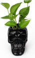 Skull Pen Holder and Makeup Brush Holder, Halloween Skull Storage Box for Office Desk, Green Plant Pot (Black)