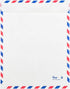JAM PAPER Tyvek Tear-Proof Open End Catalog Envelopes - 10 x 13 - White Airmail - 25/Pack