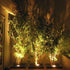 Explux Commercial-grade LED PAR20 Flood Light Bulbs, 60W Equivalent, 600 Lumens, 6-Pack.