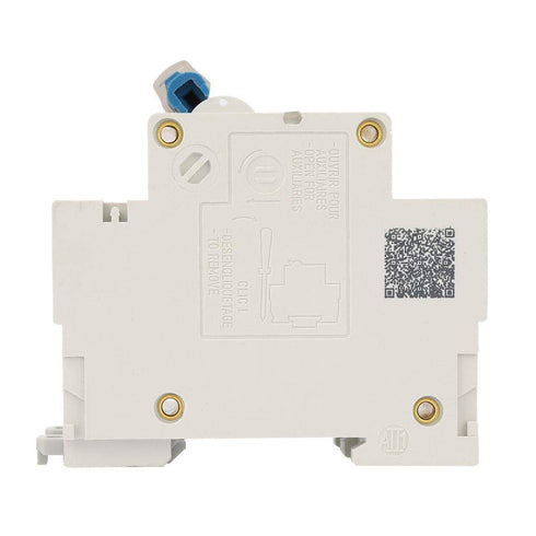 Current Circuit Breaker, DZ47-125 2P, 400V, 80/100/125A, Leakage Protection Switch