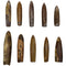 10pcs Paleontology Belemnite Specimen Science Ornament for Laboratory Supply