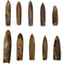 10pcs Paleontology Belemnite Specimen Science Ornament for Laboratory Supply