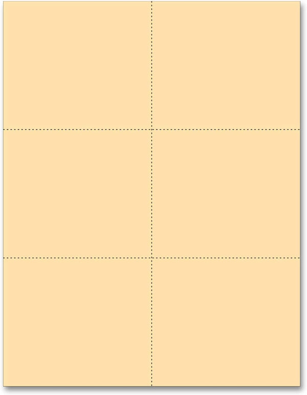 NextDayLabels - Laser Printer Blank Cards, Perforated 6 Up, School Registration, Flower