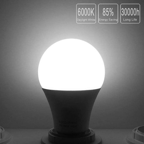 Honle E26 E27 LED Light Bulbs 12V 24V Low Voltage 7W A19 Daylight White 6000k Standard Edison Base 60w Equivalent, Pack of 2 by Honle