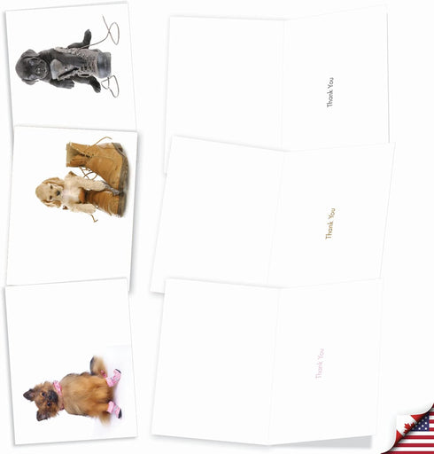 The Best Card Company 10 Assorted Dog Thank You Notes Box Set, 4 x 5.12 Inch with Envelopes (10 Designs, 1 Each)