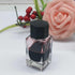 2 Pcs 20ml Clear Glass Jars, Empty Refillable Ink Vials Containers with Black ABS Plastic Caps