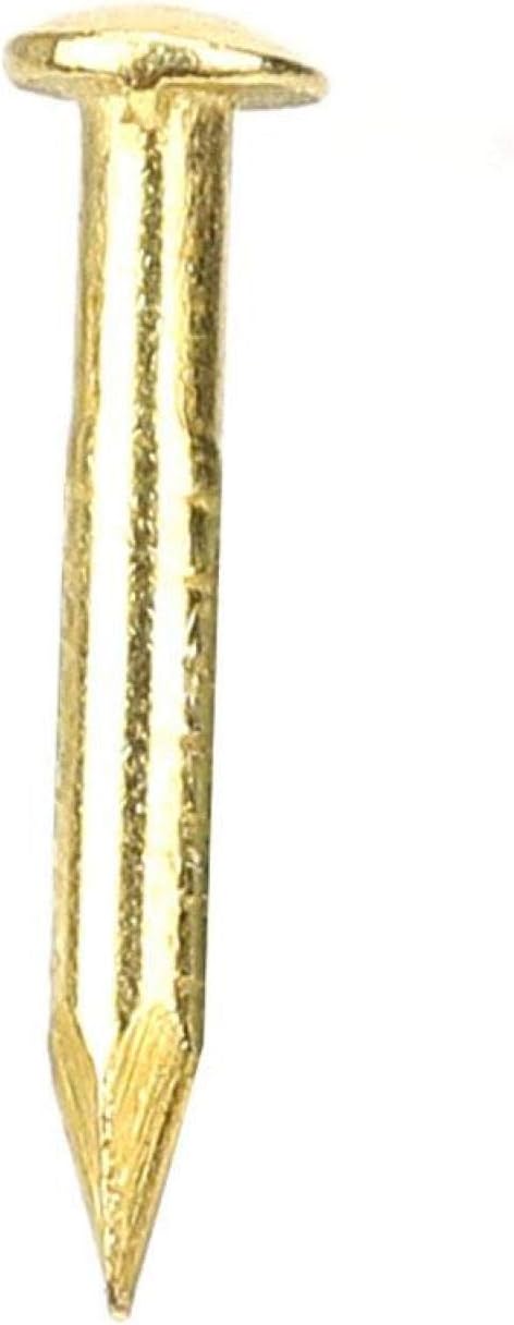 Brass Nails, 100 Pieces Round Head Gold Nails, Brass Wall Pins 10mm 15mm 18mm 22mm, Furniture Brass Tacks for Wood, for Hanging Picture Frame Mirror, Furniture Hinge Hardware Accessories(10mm)