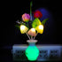 2Pack 0.5W Plug in LED Night Light w/Auto Dusk to Dawn Sensor,AUSAYE Energy Saving Lamp Dream Nightlight Rose Flower