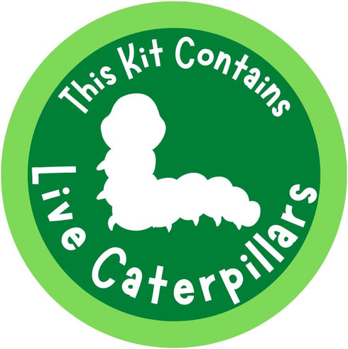 2 10 Insect Lore Cups of Caterpillars Basic - Live Baby Painted Lady Caterpillars - Refill for Habitat Kit