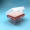 200µL Filtering Pipette Tips - Universal Filter Tips, RNase/DNase Free, Clear, 960 Tips/Rack