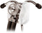 Prestige Medical Stethoscope Holder, Ice