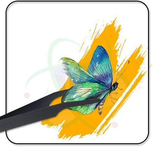 DR Instruments Set, Set 2. Entomology Forceps One Long Points and One Short Broad Points Forcpes. Ideal for a delegate