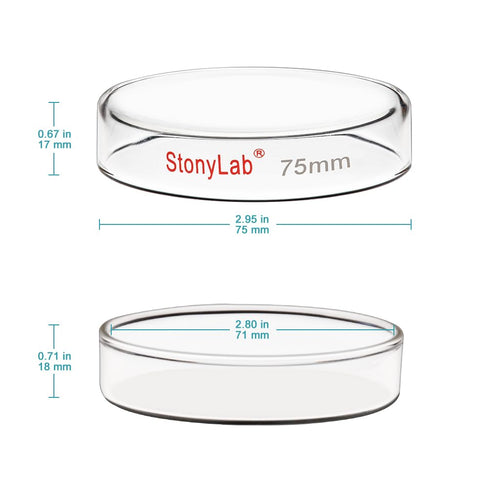 stonylab Glass Petri Dish with Lid, 5-Pack Borosilicate Glass Cell Culture Dish for Laboratory