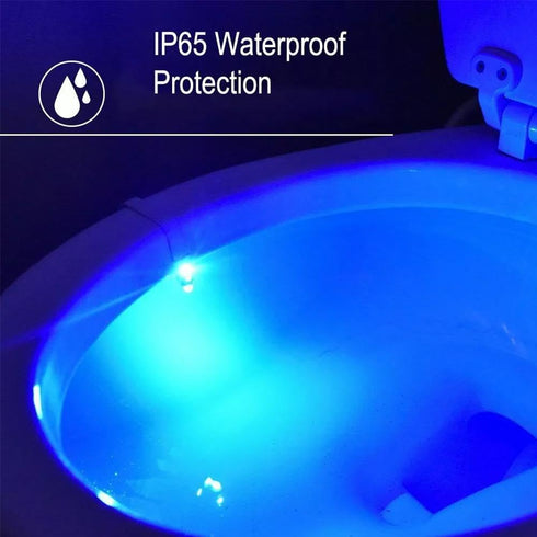 Generic 8 Toilet Light Motion Sensor, Lights Inside Toilet, Toilet Night Light, Toilet Light Motion Sensor Colors