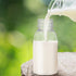 3.40 Oz 4.13X1.57X1.57 Inches Set 15 STOBOK Transparent Milk Storage Bottles with Leak-Proof Sealing Caps Pet Plastic