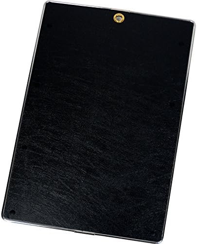 Lion Visible Record Book - Removable 25-Pocket (185-N)