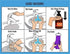 HOM LLC Visual Schedules Potty Training! ABA/OT Approved Step-by-Step Visual Schedules for Children. Ideal for Autism